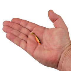 PowerBait Ripple Shad