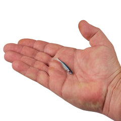 PowerBait Ripple Shad