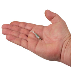 PowerBait Ripple Shad