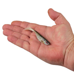 PowerBait Ripple Shad