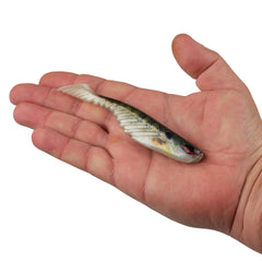 PowerBait Ripple Shad
