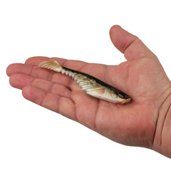 PowerBait Ripple Shad