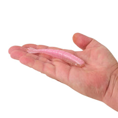 PowerBait Saltwater Bonga Shrimp