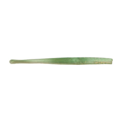 PowerBait Saltwater Bonga Stick