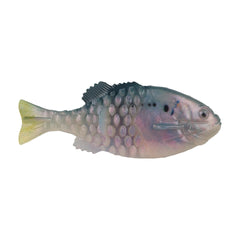PowerBait Saltwater Gilly