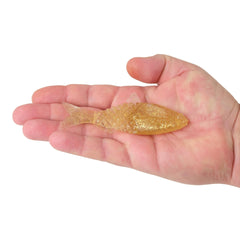 PowerBait Saltwater Gillydine