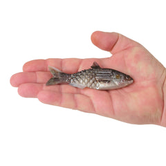 PowerBait Saltwater Gillydine