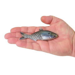 PowerBait Saltwater Gillydine