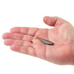 PowerBait The Champ Minnow