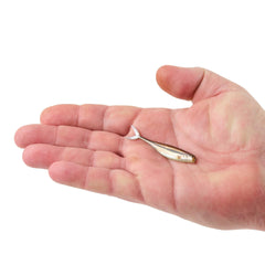 PowerBait The Champ Minnow