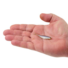 PowerBait The Champ Minnow