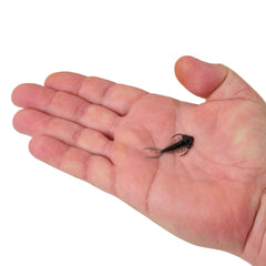 PowerBait Trilobite