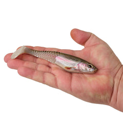 PowerBait Unrigged CullShad