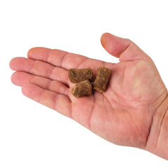 PowerBait Catfish Bait Chunks