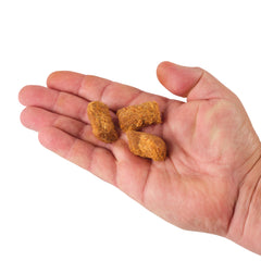 PowerBait Catfish Bait Chunks