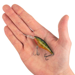 Scented Flicker Shad Pro Pack