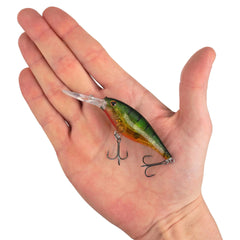 Scented Flicker Shad