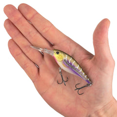 Scented Flicker Shad Pro Pack