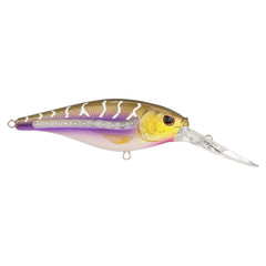 Scented Flicker Shad Pro Pack