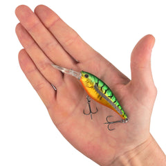 Scented Flicker Shad Pro Pack