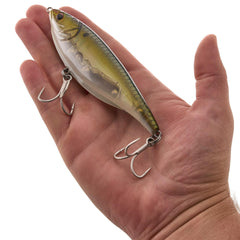 Stick Shadd Saltwater