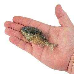 PowerBait Gilly