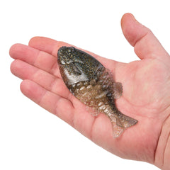 PowerBait Gilly