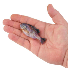 PowerBait Gilly