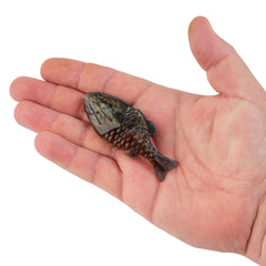 PowerBait Gilly