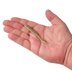 PowerBait MaxScent Flat Worm