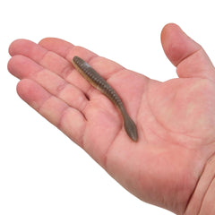 PowerBait MaxScent Flat Worm