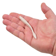 PowerBait MaxScent Flat Worm