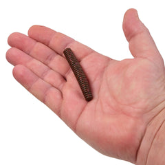 PowerBait MaxScent Lil' General