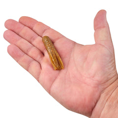 PowerBait MaxScent Tube