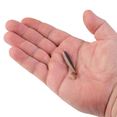 PowerBait Power Swimmer