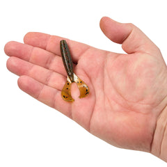 PowerBait The Boss Grub