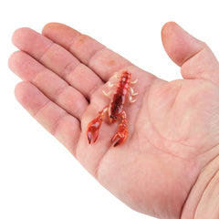 PowerBait The Champ Craw