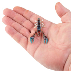 PowerBait The Champ Craw