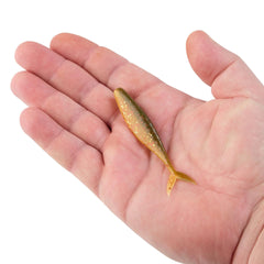 PowerBait The Champ Minnow