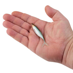 PowerBait The Champ Minnow
