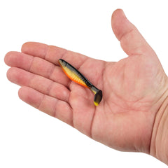 PowerBait The Champ Swimmer