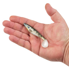 PowerBait The Champ Swimmer