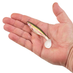 PowerBait The Champ Swimmer