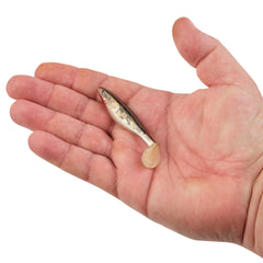 PowerBait The Champ Swimmer