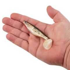 PowerBait The Champ Swimmer