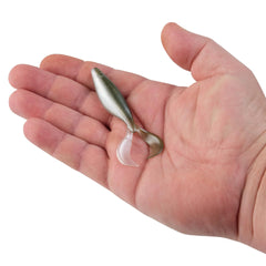PowerBait The Deal