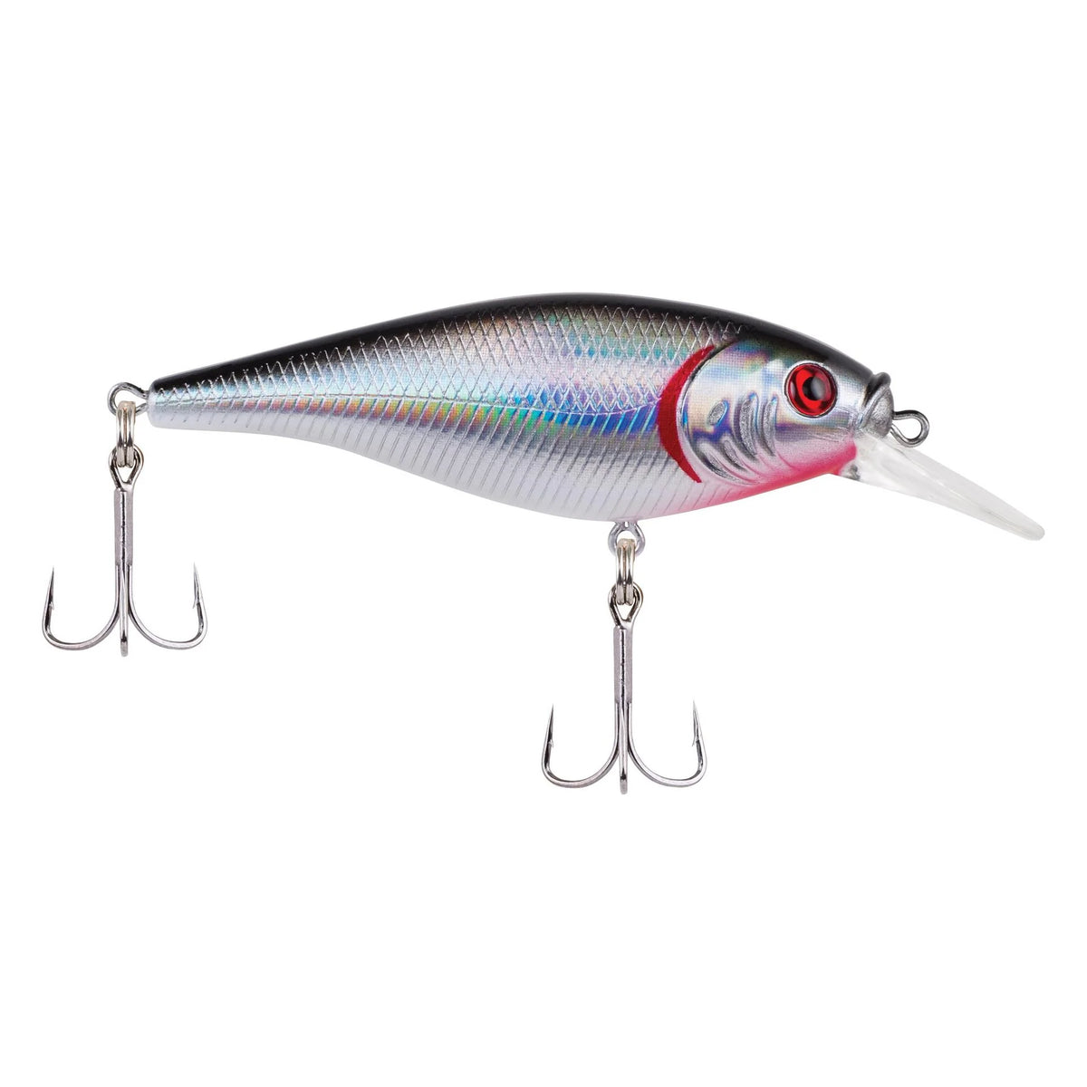 Flicker Shad Shallow